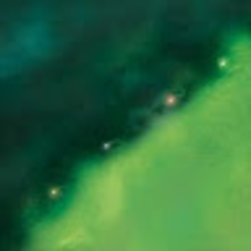 Meet your Posher, Migzerific